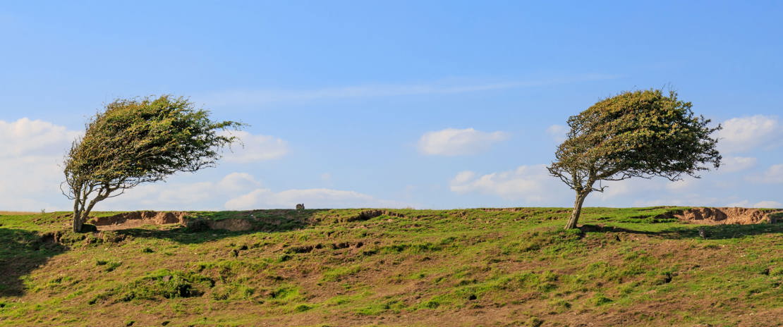 iStock-911098016_Lemanieh
